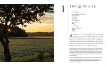 Load image into Gallery viewer, The Korean Herbal Apothecary Book