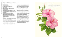 Load image into Gallery viewer, The Korean Herbal Apothecary Book