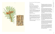 Load image into Gallery viewer, The Korean Herbal Apothecary Book