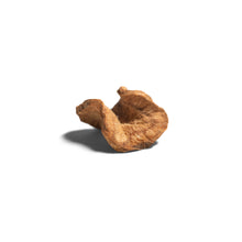 Load image into Gallery viewer, Korean Burdock Root