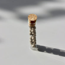 Load image into Gallery viewer, The Starter Duo