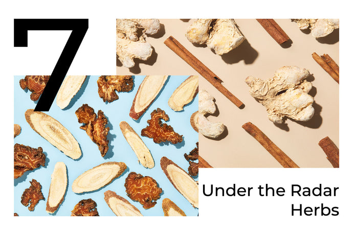 7 Under the Radar Herbs
