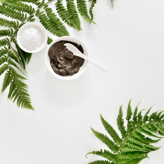 The Foraging Series: Bracken-Fern
